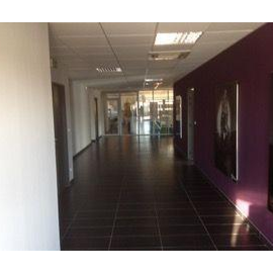  IMMOBILIERE ARTHUR - Plan de Cuques : Office | MARSEILLE (13012) | 89 m2 | 1 112 € 