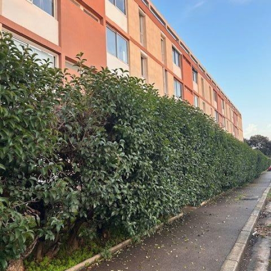 IMMOBILIERE ARTHUR - Plan de Cuques : Appartement | MARSEILLE (13012) | 57.00m2 | 890 € 