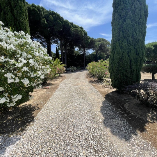  IMMOBILIERE ARTHUR - Plan de Cuques : Domaines / Propriétés | RAMATUELLE (83350) | 130 m2 | 2 700 000 € 