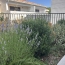  IMMOBILIERE ARTHUR - Plan de Cuques : Apartment | MARSEILLE (13011) | 61 m2 | 345 000 € 