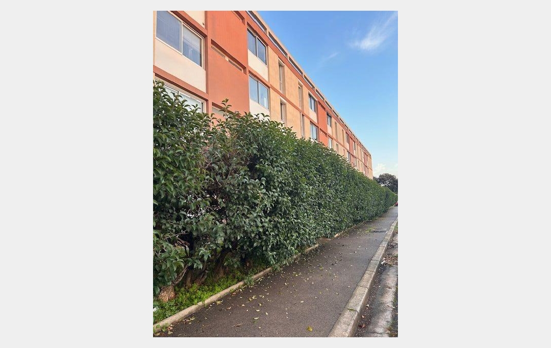 IMMOBILIERE ARTHUR - Plan de Cuques : Apartment | MARSEILLE (13012) | 57 m2 | 890 € 