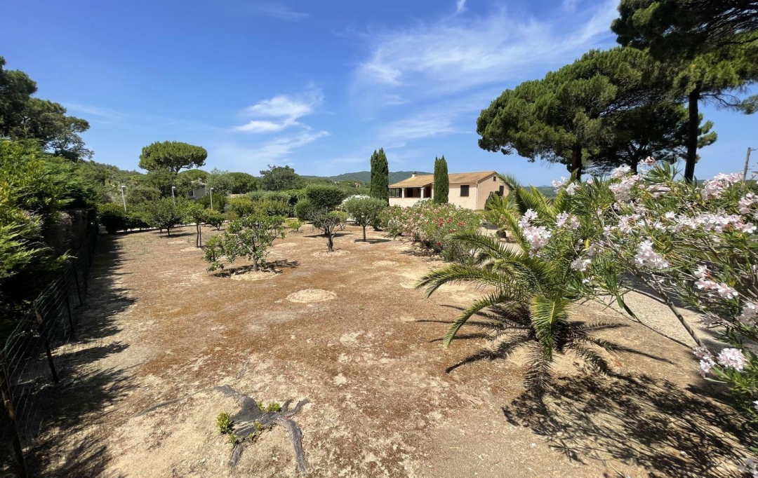 IMMOBILIERE ARTHUR - Plan de Cuques : Domaines / Propriétés | RAMATUELLE (83350) | 130 m2 | 2 700 000 € 