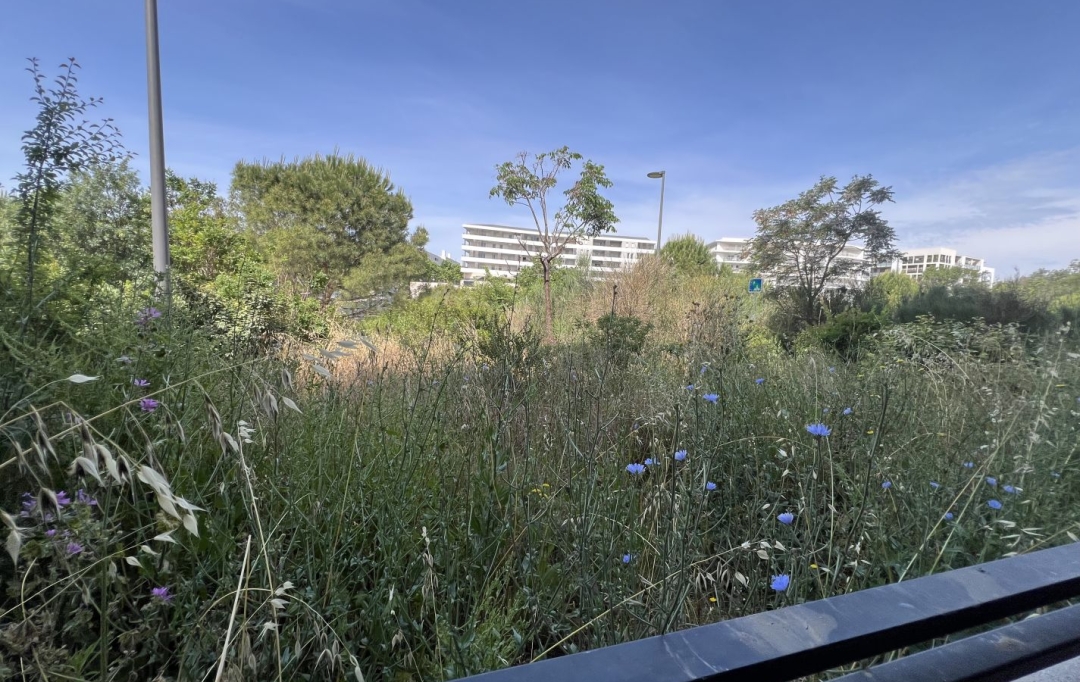IMMOBILIERE ARTHUR - Plan de Cuques : Apartment | MARSEILLE (13014) | 58 m2 | 165 000 € 