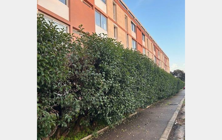  IMMOBILIERE ARTHUR - Plan de Cuques Apartment | MARSEILLE (13012) | 57 m2 | 890 € 